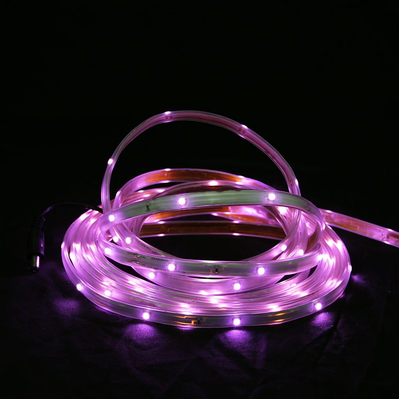 30ct Battery Operated LED Fairy String Lights - Sterno Home