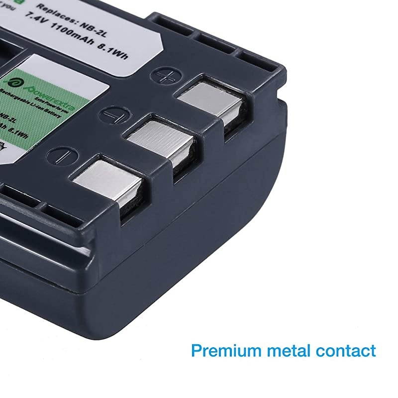 2 Pack Replacement Canon NB2L NB2LH Battery with Charger for Canon PowerShot G7 G9 S30 S40 S45 S50 S60 S70 S80 DC410 DC420 VIXIA HF R10 HF R100 HF R11 EOS 350D 400D Digital Rebel XT XTi