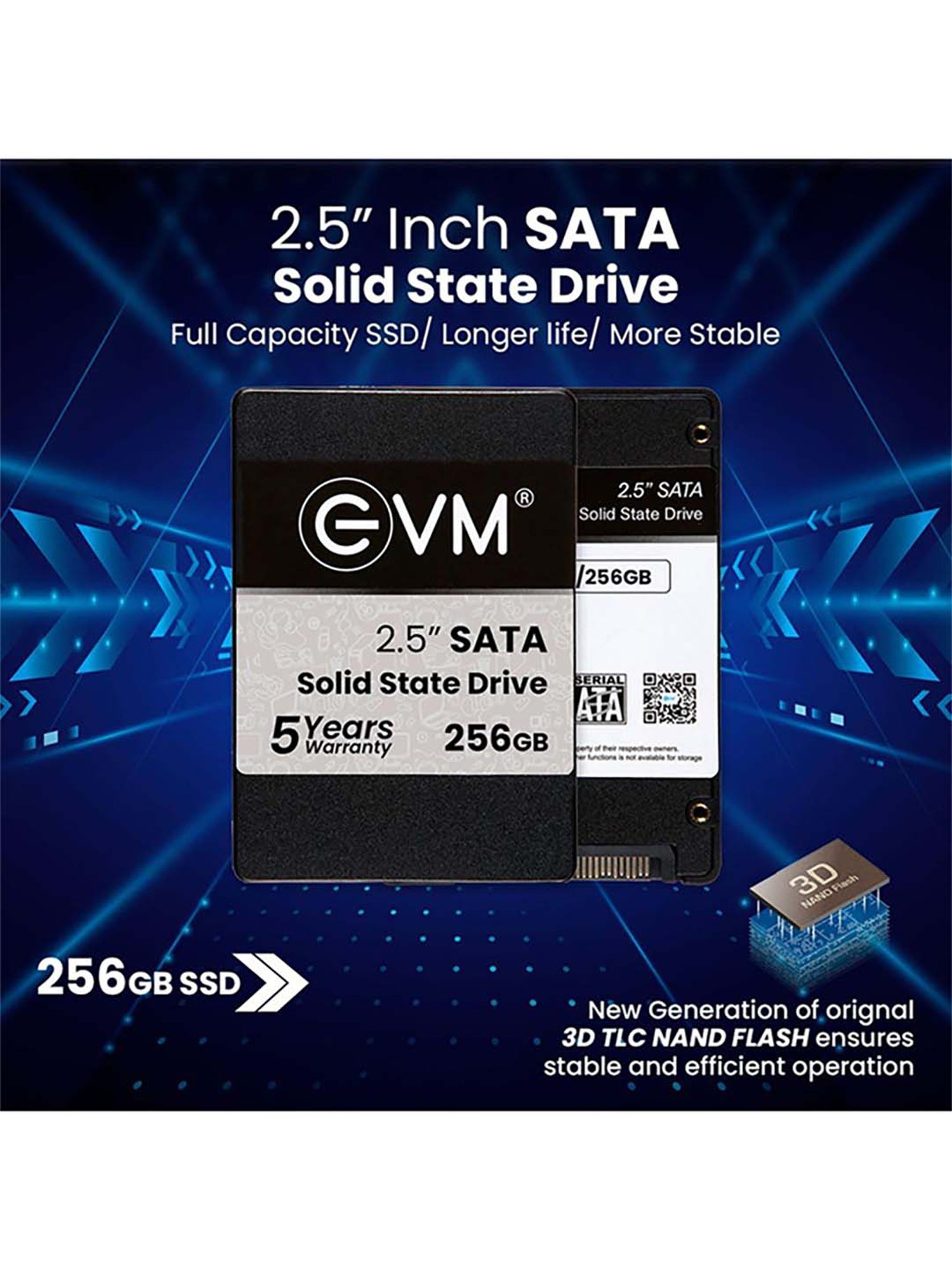 EVM EVM25 256GB 2.5 inch SATA Internal SSD (Black)