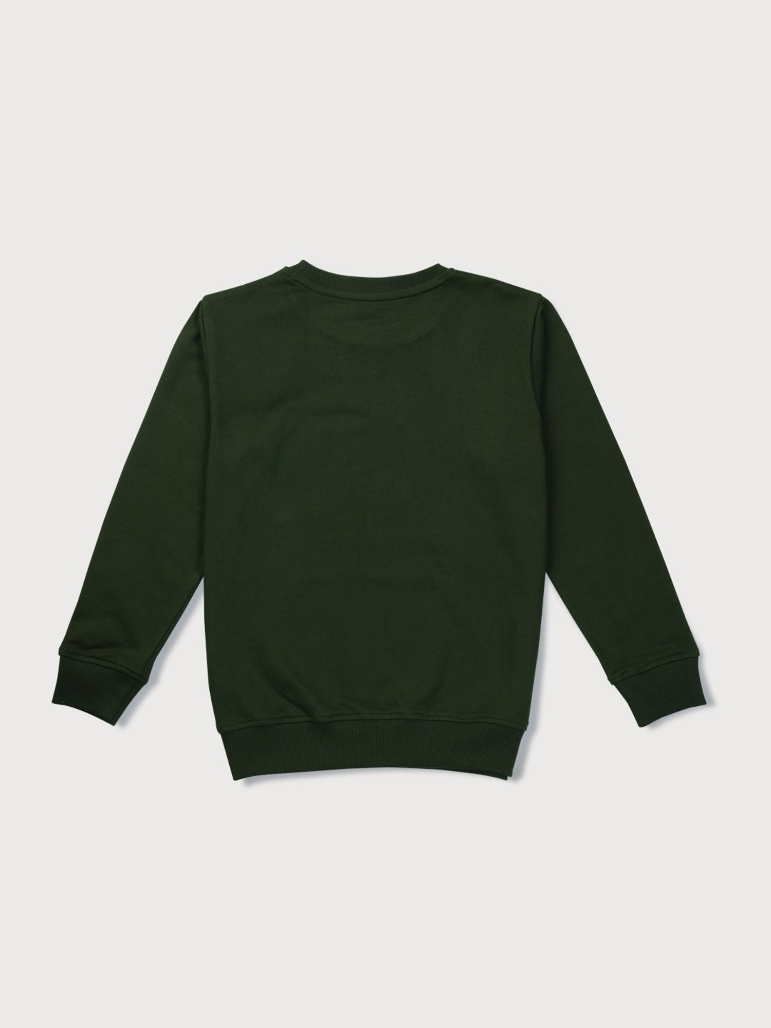 Palm Tree Kids Green Regular Fit Full Sleeves Sweatshirt