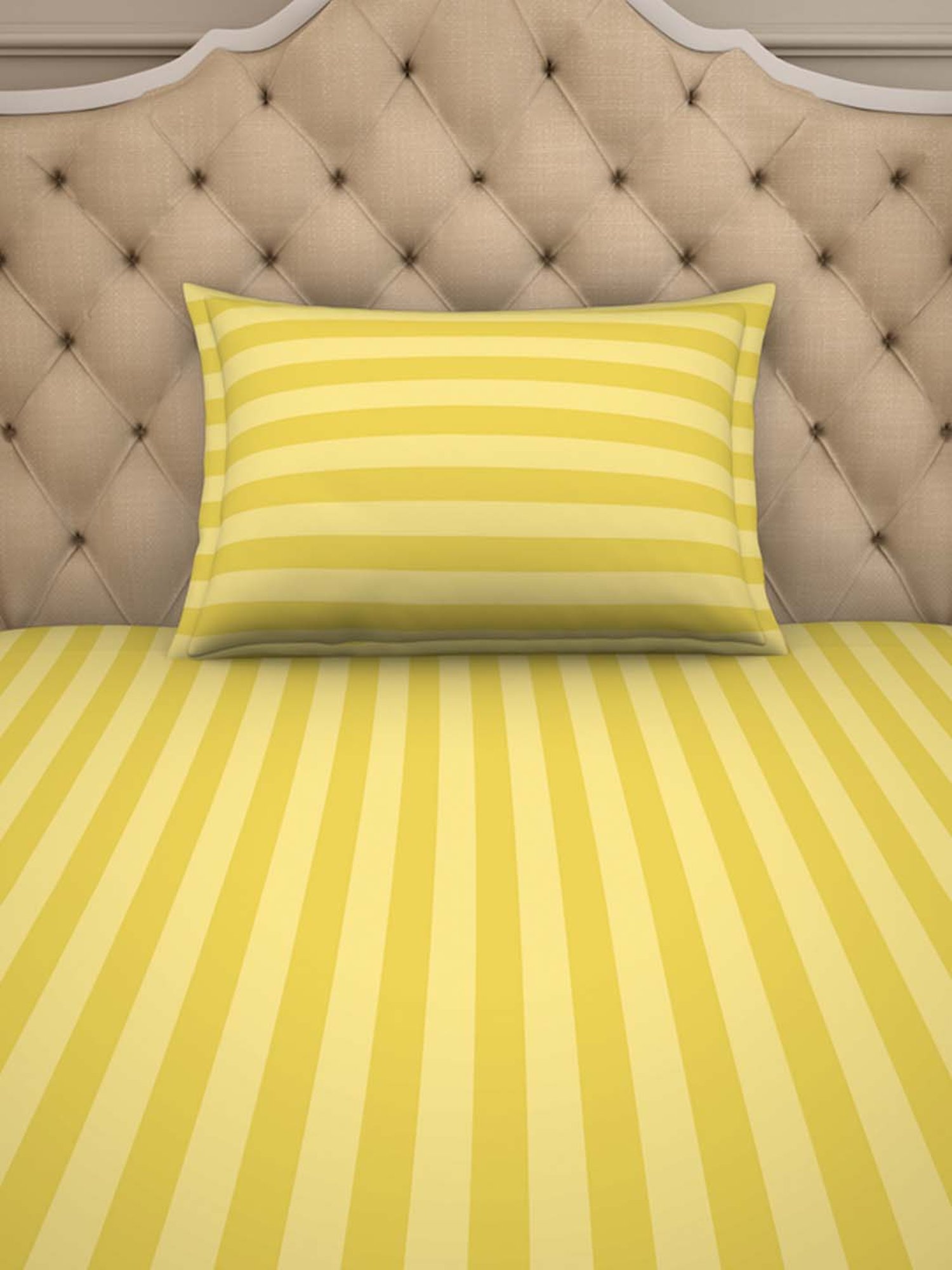 Spaces Sky Rise Golden Cotton 210 TC Bed Sheet Set