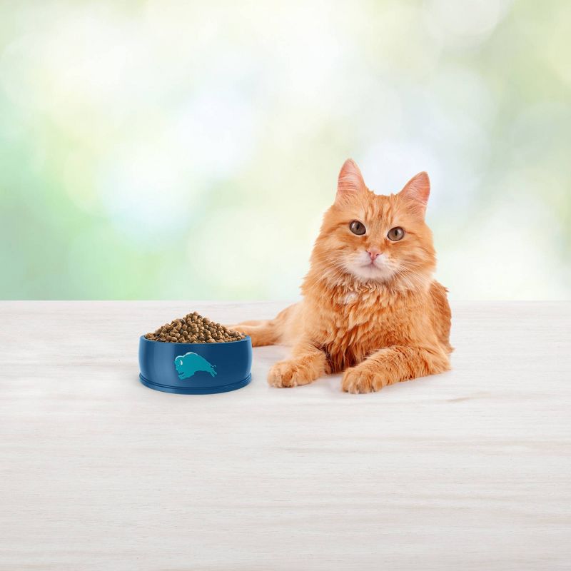 Fancy Feast Petites Braised Chicken Pate Wet Cat Food - 2.8oz