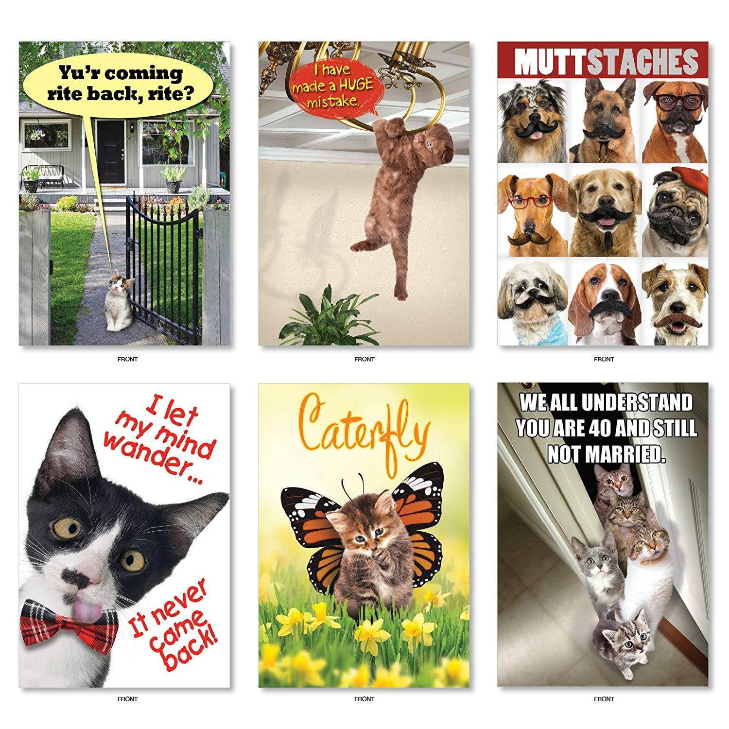 Best Pets Collection': 36 Assorted All Occasions Card With adorable, funny images of cats and dogs, with Envelopes (36 Designs, 1 Card Per Design). AC6654OCB-B1x36