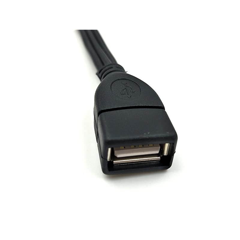 USB to RCA Cable USB 20 Female to 3 RCA Male Video AV Camcorder Adapter Cable for TVMacPC 5 feet15M