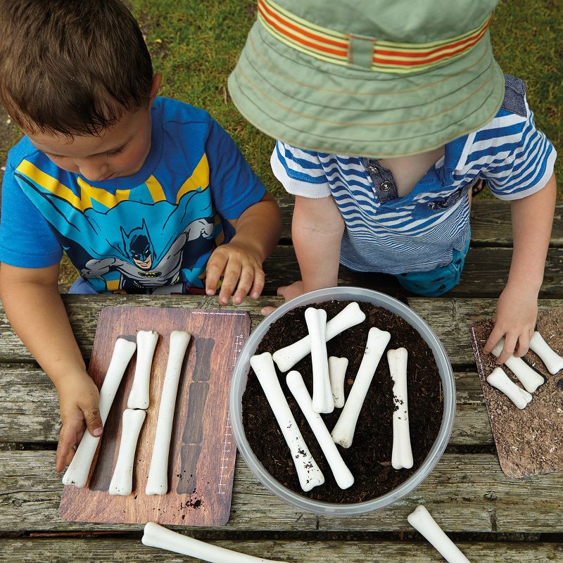 Yellow Door Dinosaur Bones Match & Measuring Cards