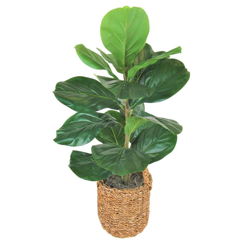 30" x 16" Artificial Fig Plant in Basket with Handles - LCG Florals