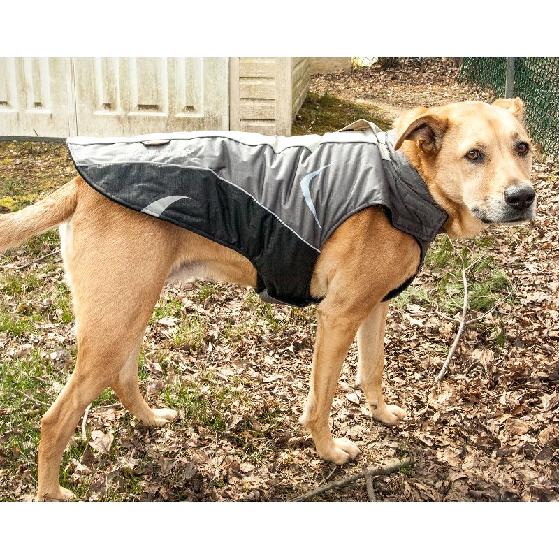 Pet Apparel Helios Dog Coat - L - Black Gray