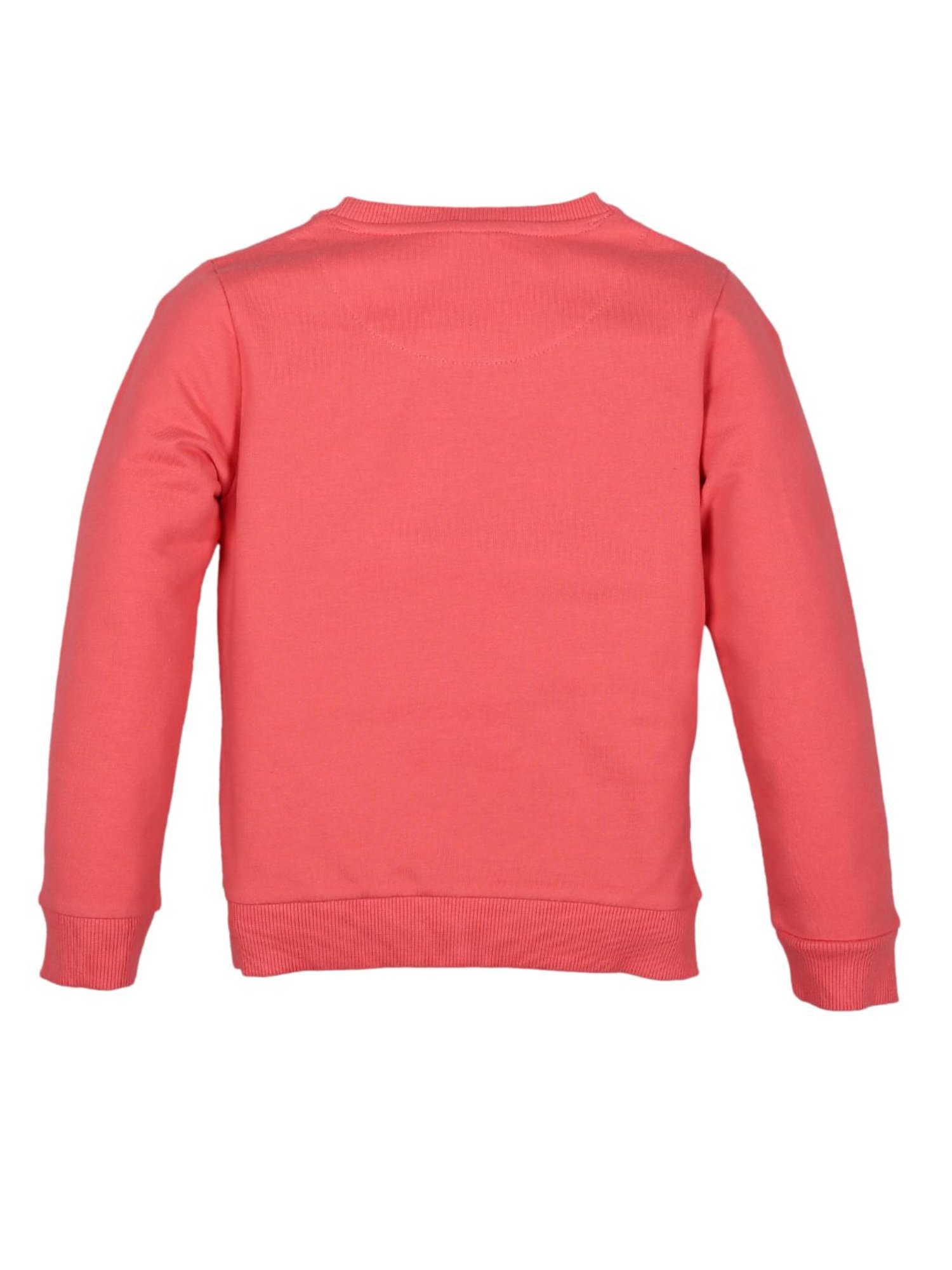 Plum Tree Kids Coral Embellished  Sweatshirt