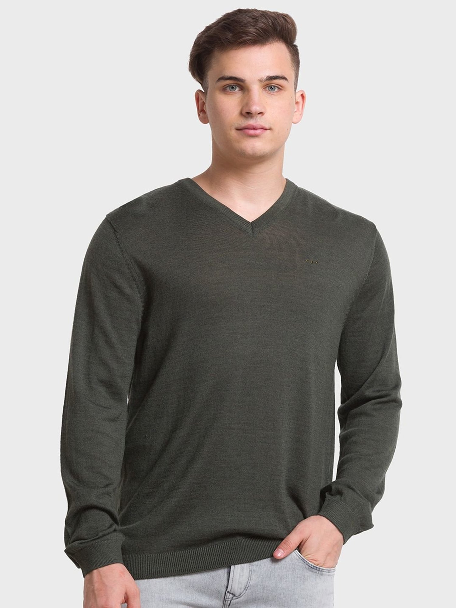 ColorPlus Green Tailored Fit Sweaters