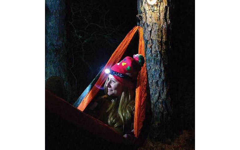 Eveready LED Pocket Flashlight