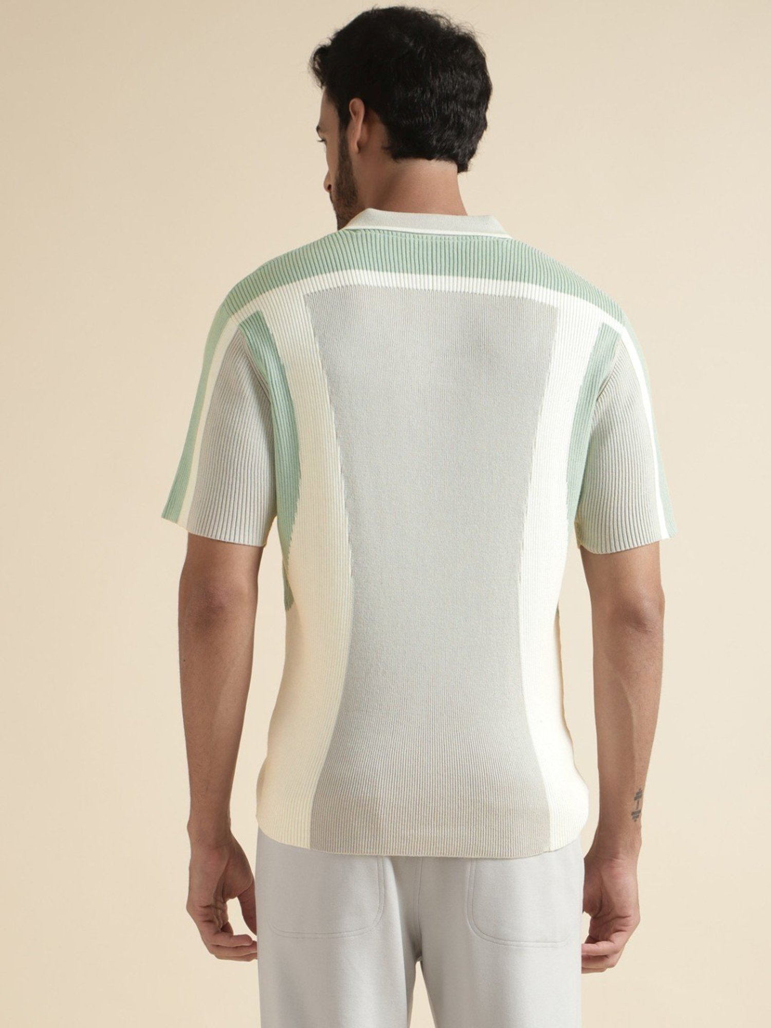 Andamen Green Regular Fit Colour Block Polo T-Shirt