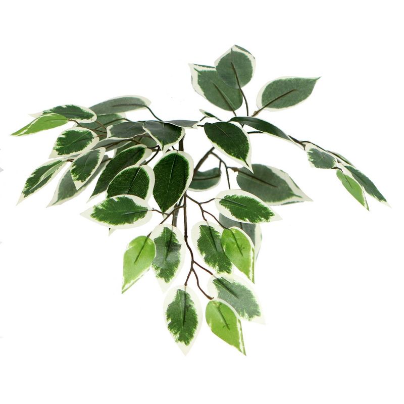 6' Artificial Variegated Ficus Tree in Square Willow White - Vickerman