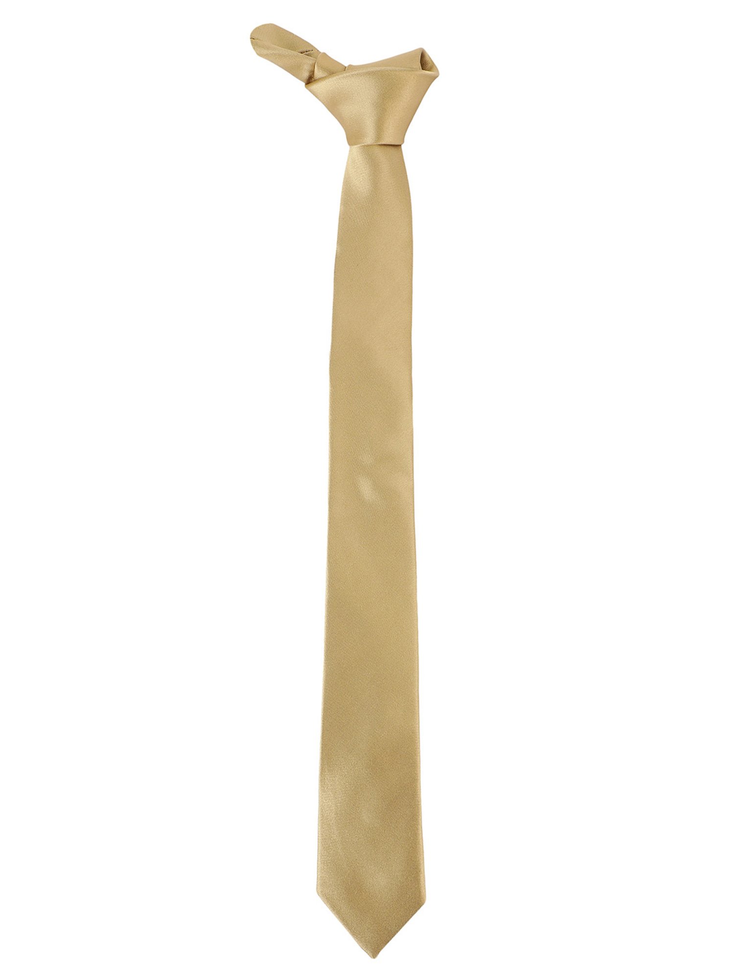 Alvaro Castagnino Solid Beige Necktie