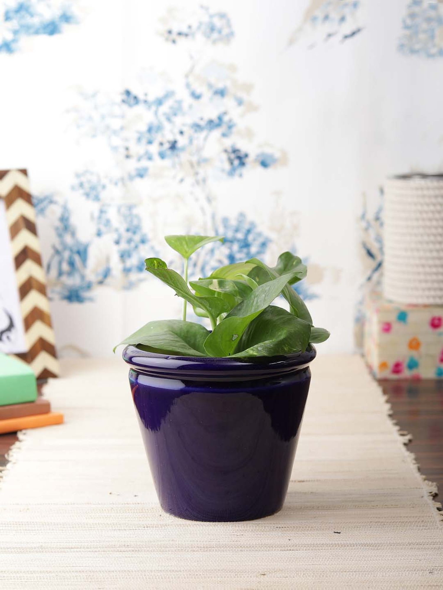 VarEesha Navy Blue Ceramic Planter Pot - Set of 2