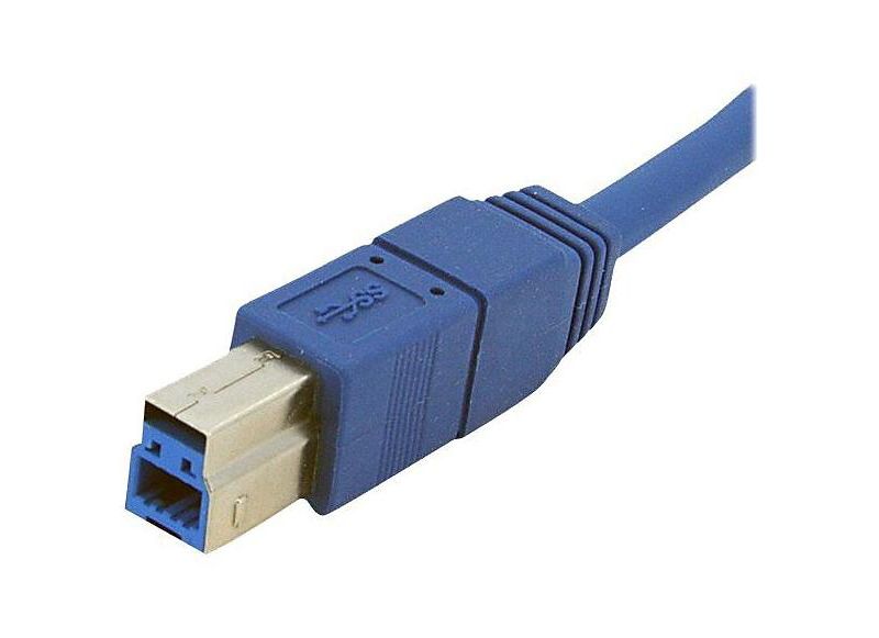 StarTech 1' Superspeed A To B Male/Male USB 3.0 Cable, Blue USB3SAB1