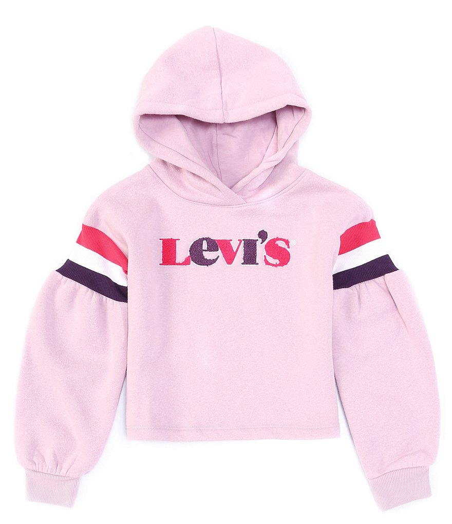 Flapdoodles Little Girls 2T-6X Long Sleeve Stripe Hoodie