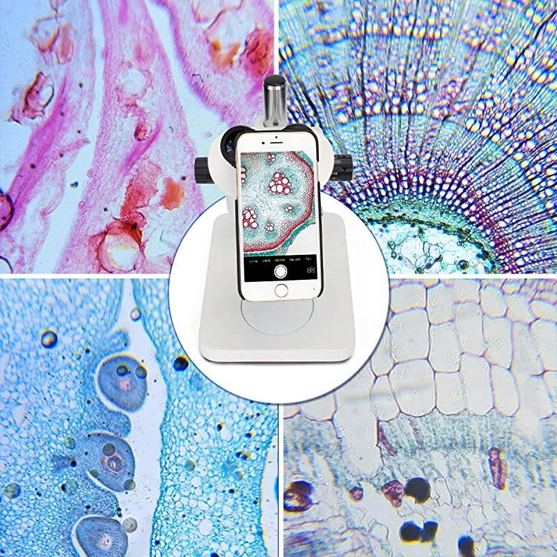 Lens Adapter with WF10X Eyepiece for Eyepiece Tube 30mm, Smartphone Camera Adaptor for iPhone 6/6S