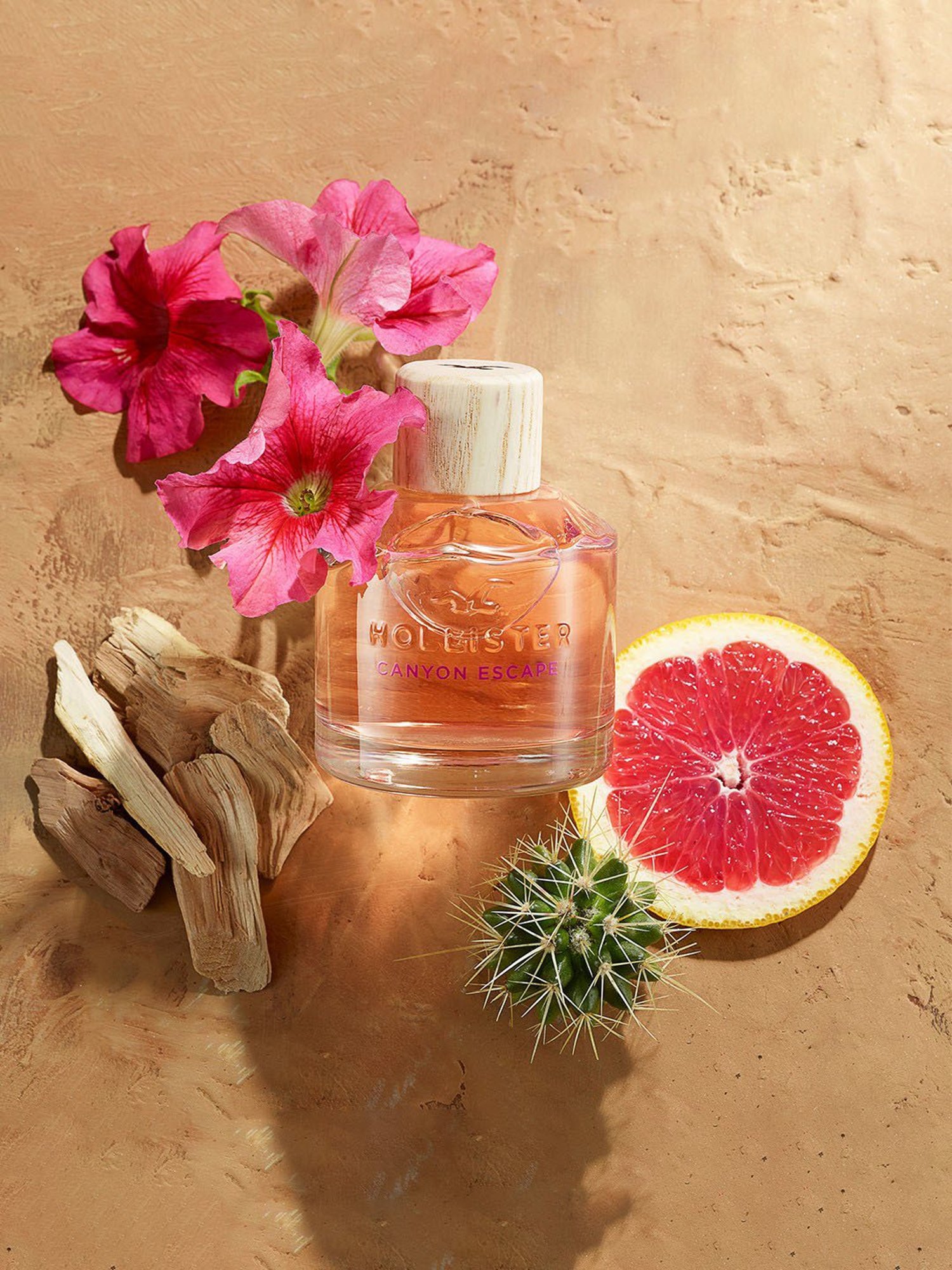 Hollister Canyon Escape Eau de Parfum for Women - 100 ml