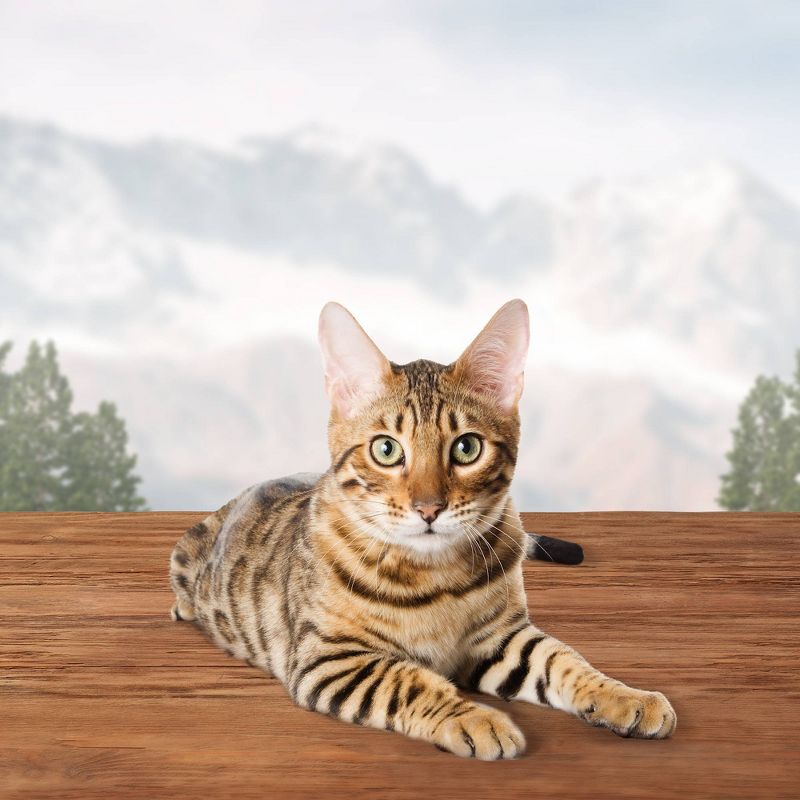 Blue Buffalo Wilderness Grain Free Trout Flavor Crunchy Cat Treats - 2oz