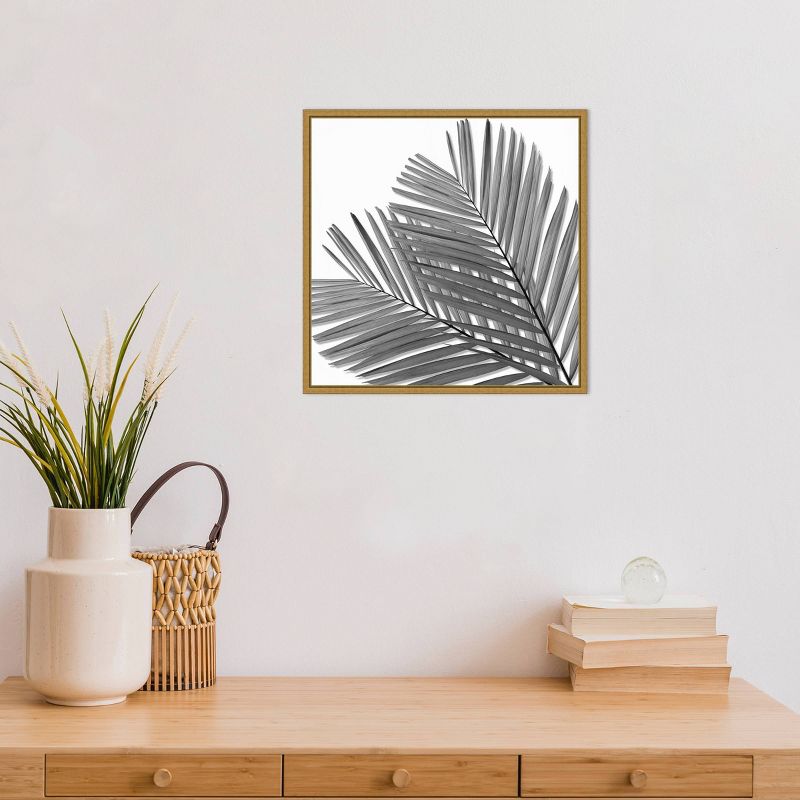 16" x 16" Palm I by Mia Jensen Framed Wall Canvas Black/White - Amanti Art