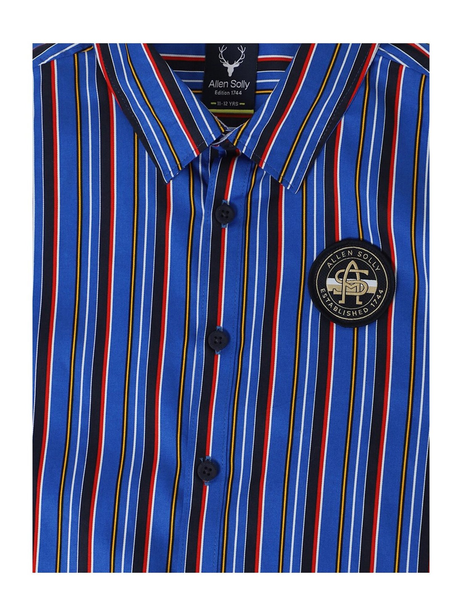 Allen Solly Junior Blue Striped Full Sleeves Shirt