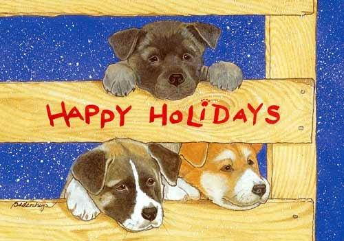 Akita Christmas Cards : 10 Holiday Cards with Red Envelopes - ADORABLE!