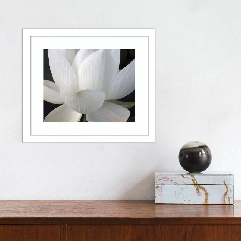 14" x 12" Delicate Lotus V by Jim Christensen Framed Wall Art Print - Amanti Art