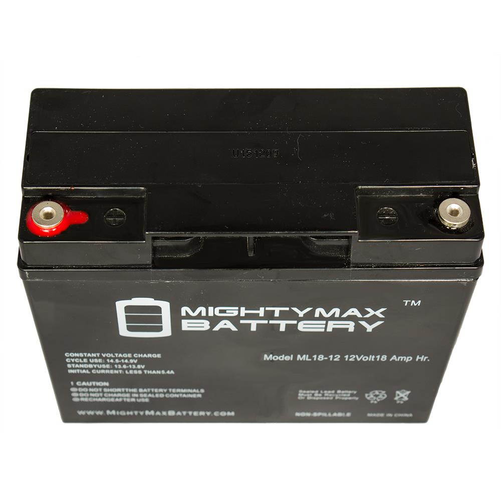 12V 18AH SLA Replacement Battery for Briggs  Stratton 193463GS