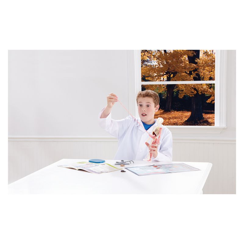 Squishy Human Body Anatomy Kit