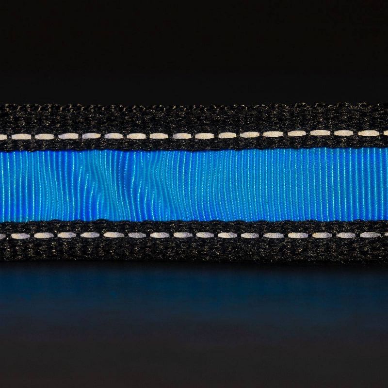 Life+Gear Rechargeable Glow Dog Collar - S