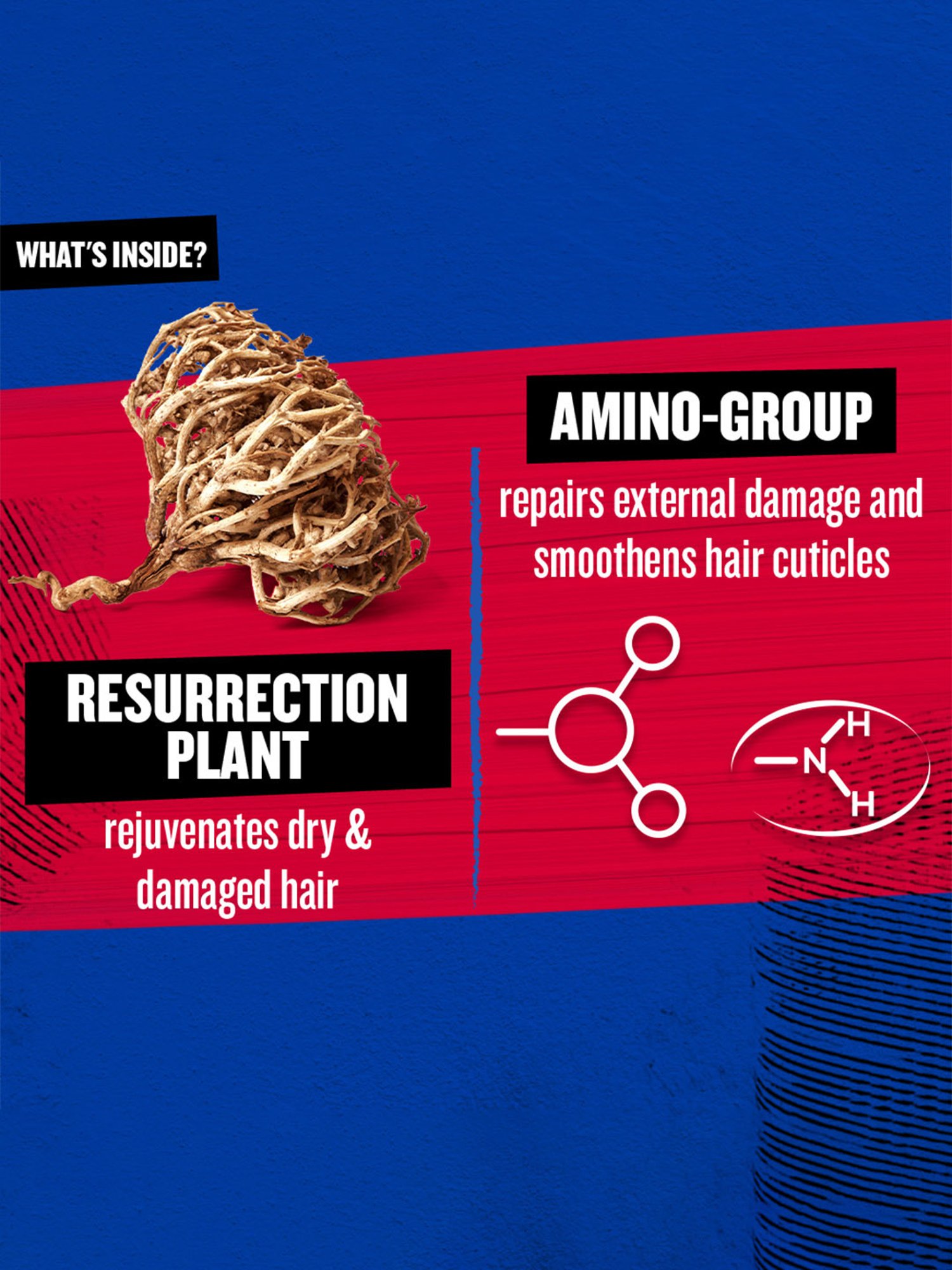 Bed Head TIGI Resurrection Super Repair Shampoo - 400 ml