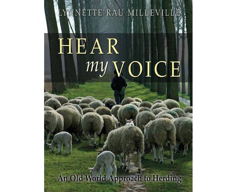 Behold the Personal Maine Coon - by  Phyllis Stiebens (Paperback)