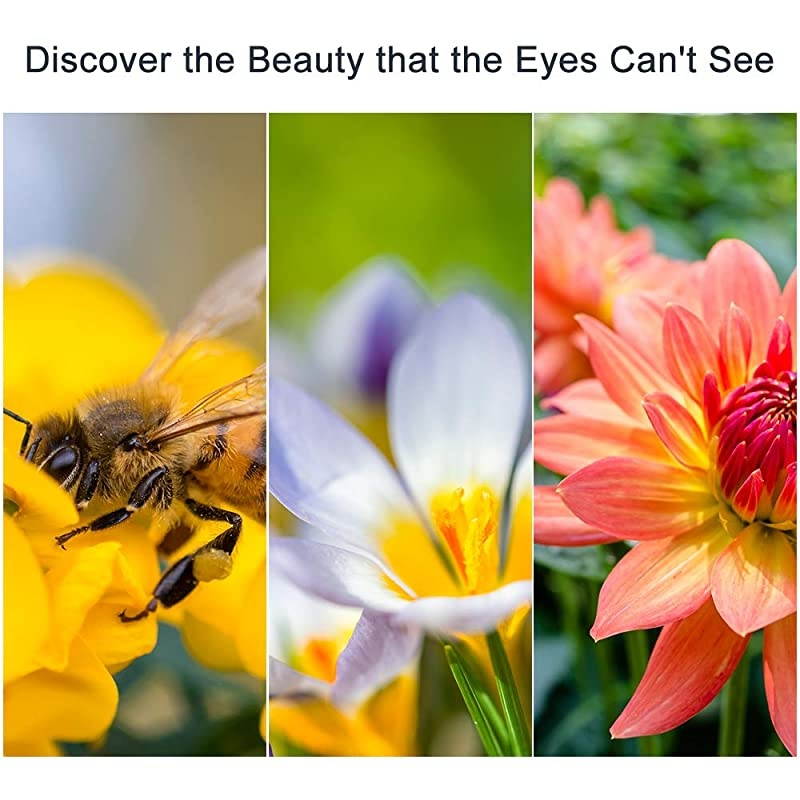 Close-up Filter Kit 4 Pieces(+1,+2,+4,+10) Macro Filter Accessory Close-up Lens Filter Kit Set with Lens Filter Pouch for Canon Nikon Sony Pentax Olympus Fuji DSLR Camera+Lens Cap