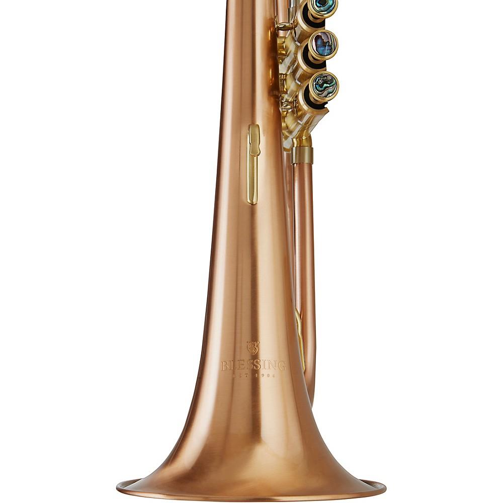 Blessing BFH-1541RT Performance Series Bb Flugelhorn Matte