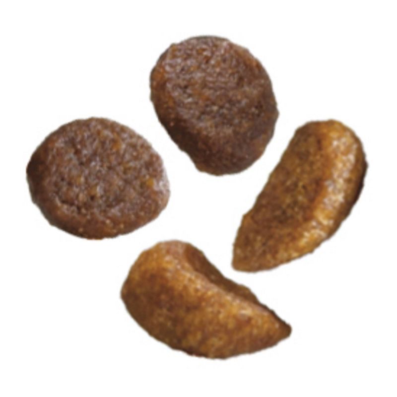 Purina ONE Healthy Kitten Formula Premium Dry Cat Food - 3.5lbs