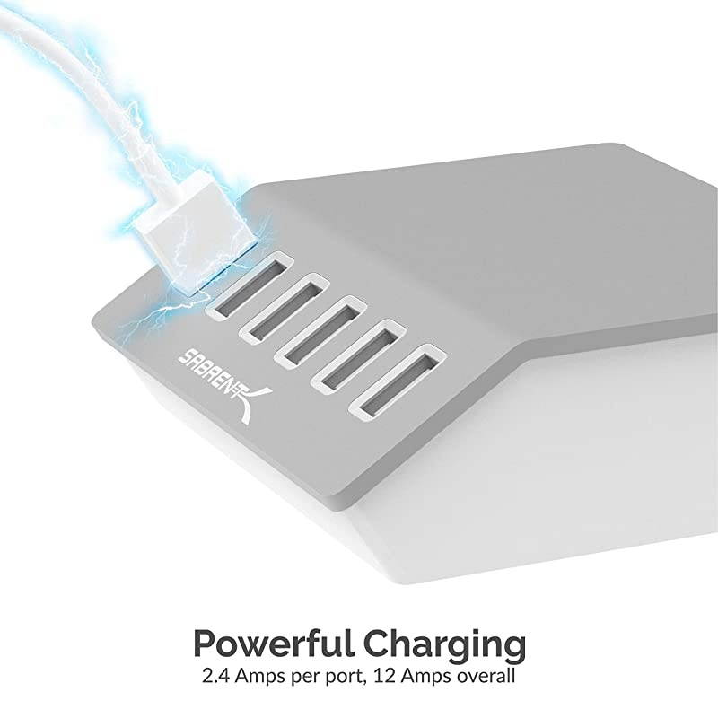 Premium 60 Watt 12 Amp 6Port Aluminum FamilySized Desktop USB Rapid Charger Smart USB Charger with Auto Detect Technology Silver AXFLCH