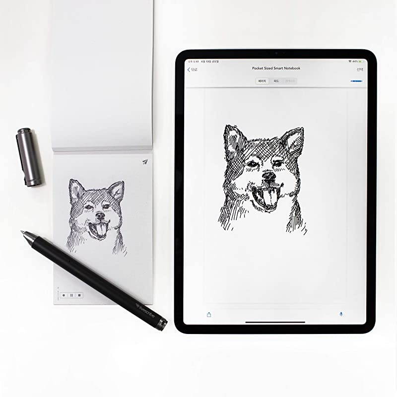 Aegir Smartpen Black Professional Edition with Executive Notebook Compatible with Windows iOS or Android Devices Like Smartphones Tablets and Computers