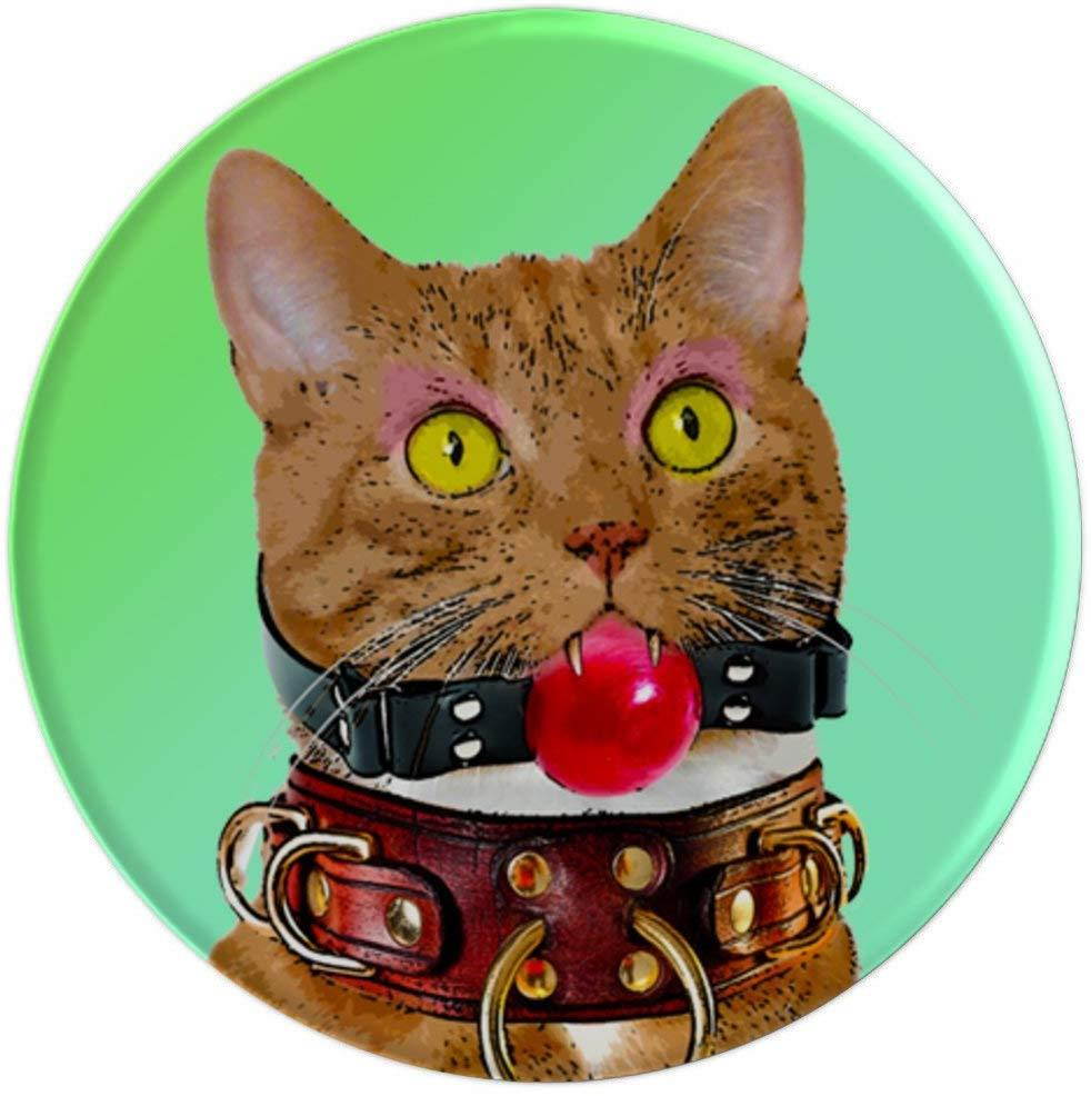 Slave Kitty Cat with Ball Gag