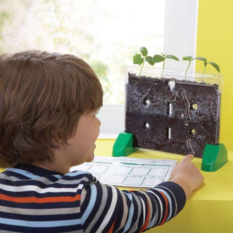 Educational Insights Sprout And Grow Window