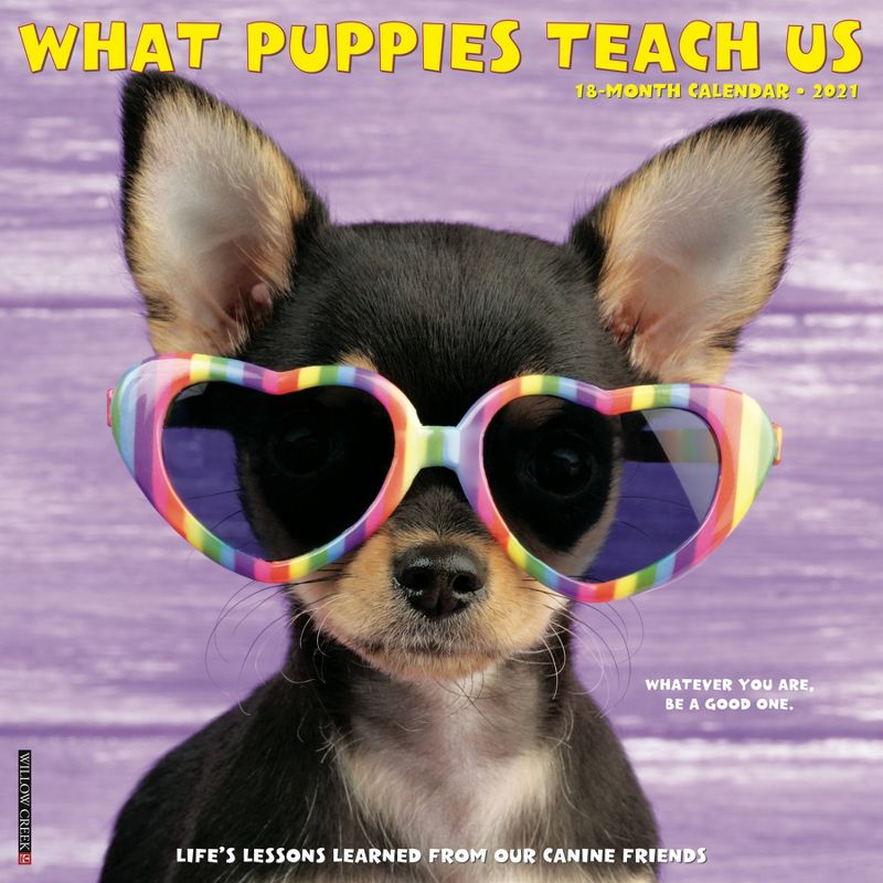 2021 Monthly Wall Calendar What Puppies Teach Us - Willow Creek Press