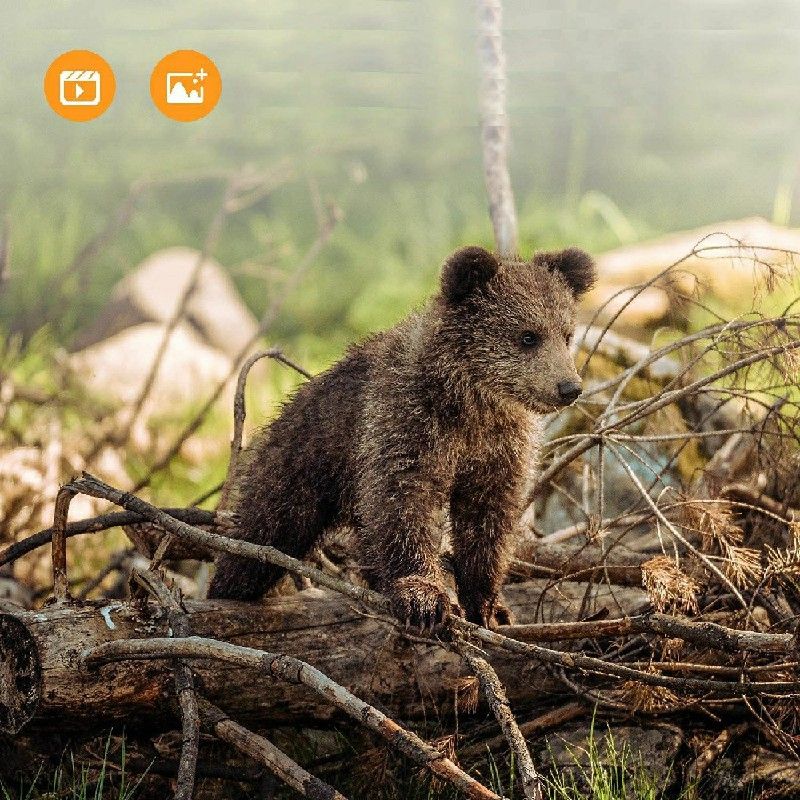 Compact Size 720P HD Digital Camera Camcorder 5MP CMOS Sensor 2.0" LCD Screen 3 Meters Waterproof with Built-in Microphone for Kids Children Students Boys Girls Summmer Gift