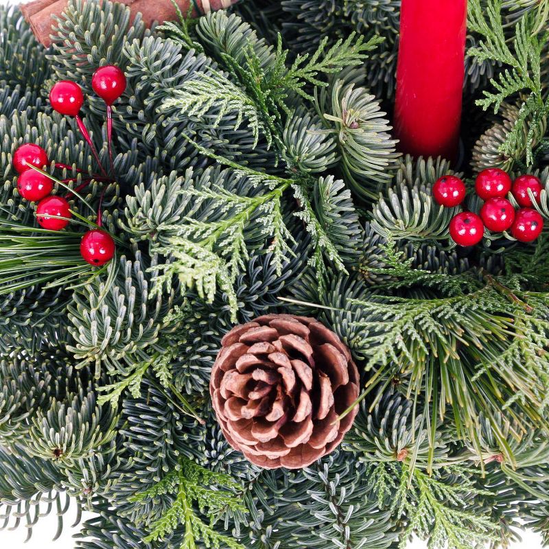 Live Fresh Cut Pacific Northwest Birch Log Centerpiece with Candle - Van Zyverden