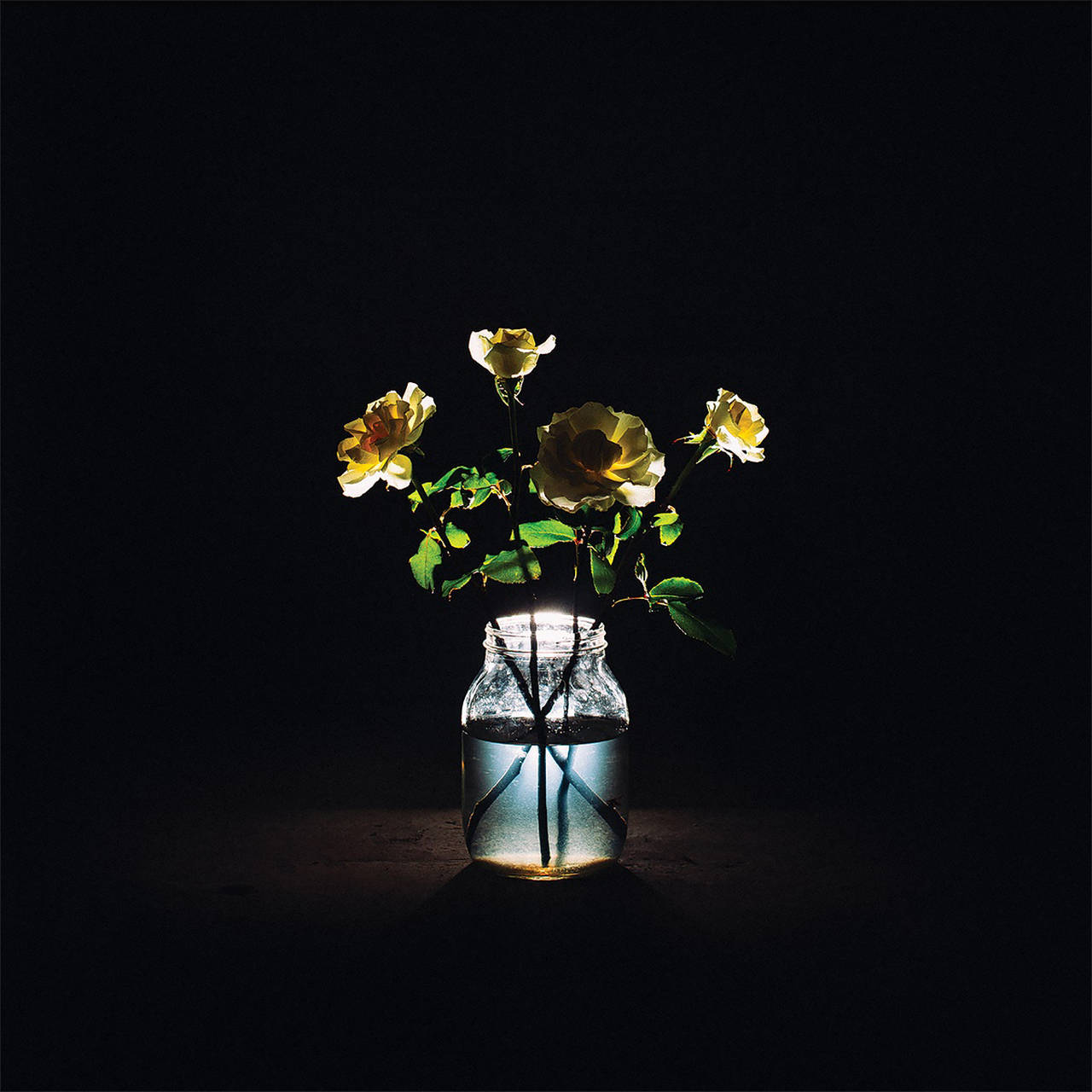 Billy Strings Renewal 180g 2LP (Vinyl)