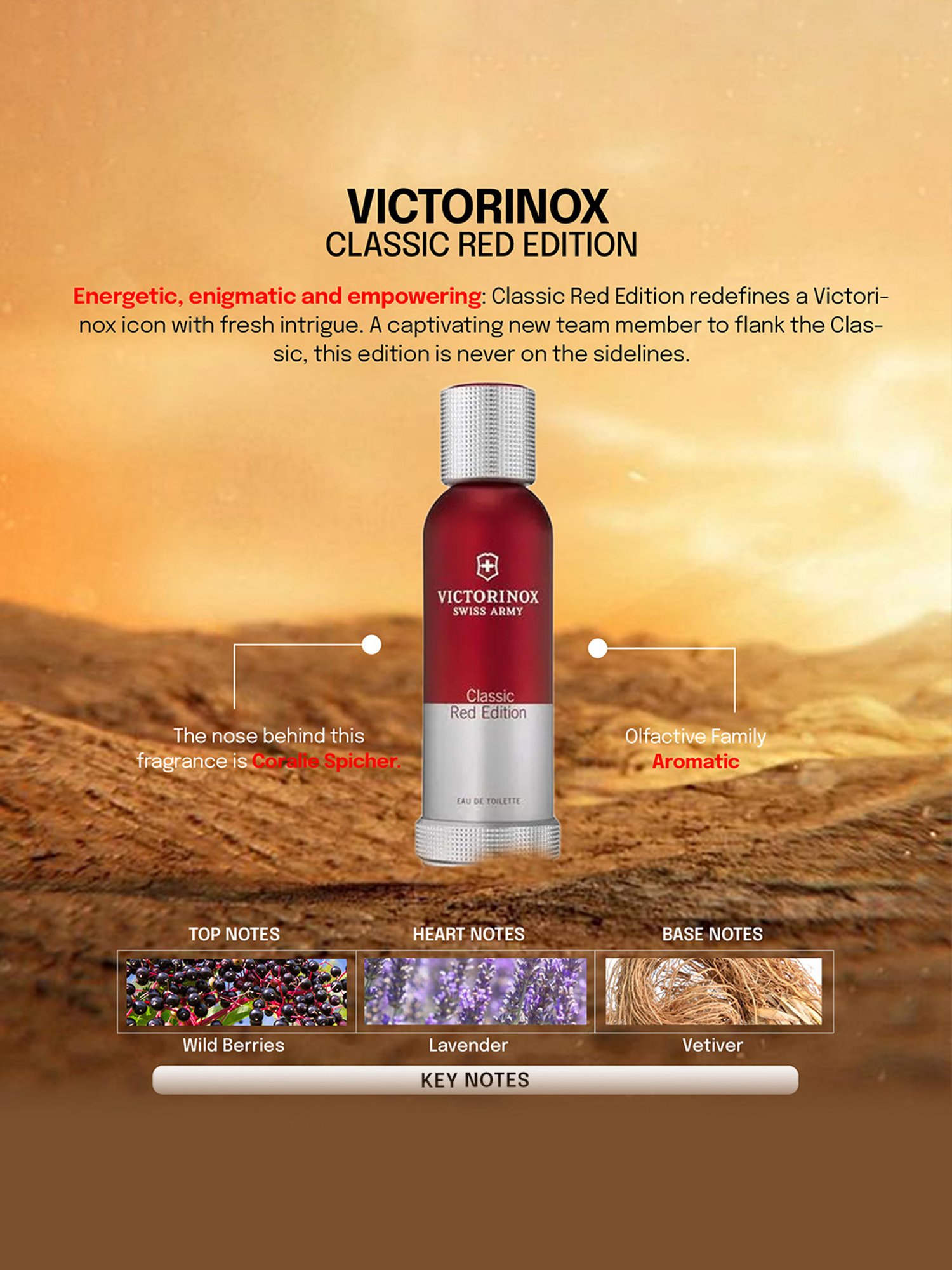 VICTORINOX Classic Red Edition Eau de Toilette for Men - 100 ml