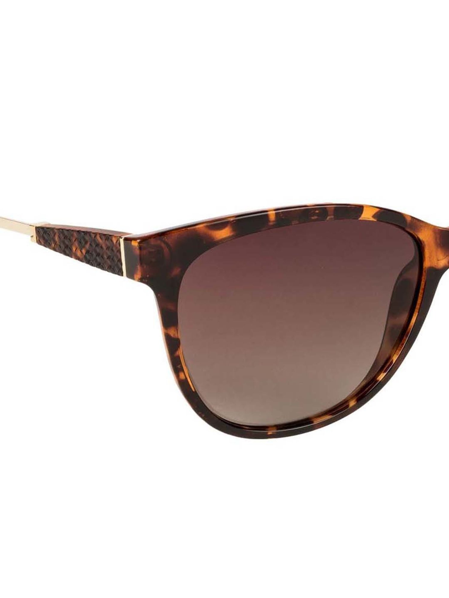 INVU Brown Cat Eye UV Protection Sunglasses for Women