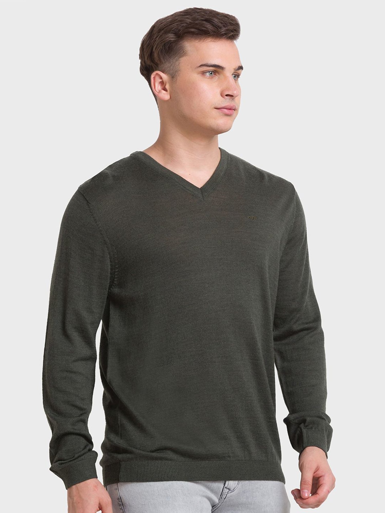 ColorPlus Green Tailored Fit Sweaters