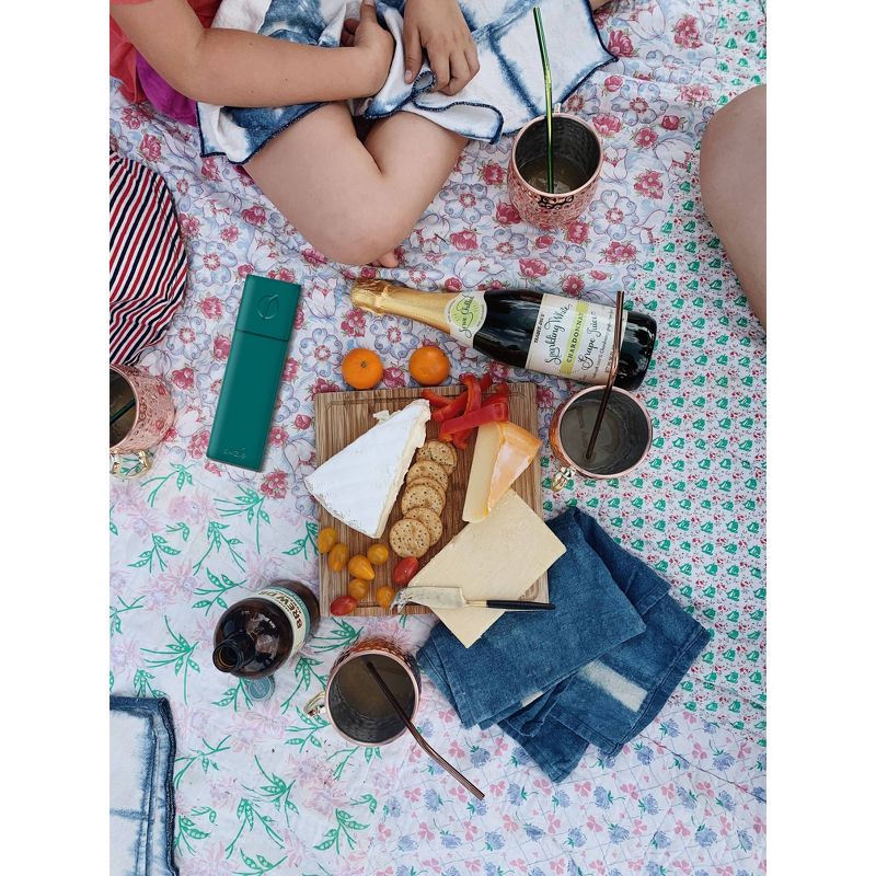 SWZLE Pack of 2 Reusable Stainless Steel Drinking Straws with Cleaning Brush and Case - Marine Green