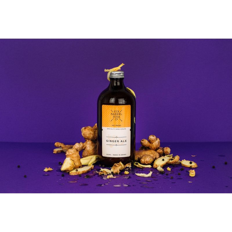 Six Barrel Soda Co. Ginger Ale Soda Syrup - 16.9fl oz