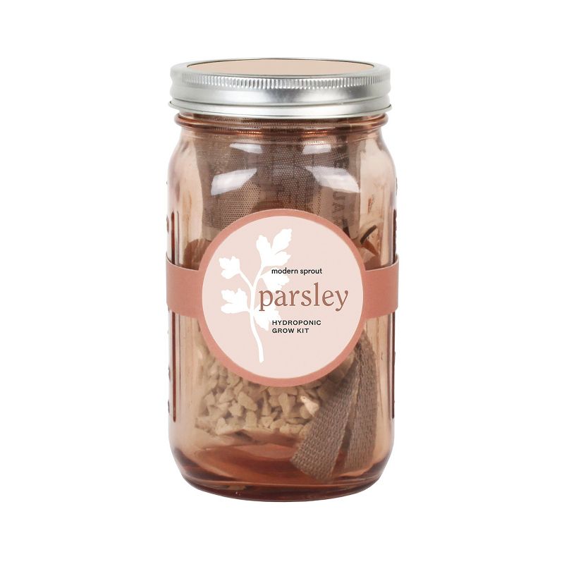 Modern Sprout Glass Jar Grow Set - Basil + Parsley