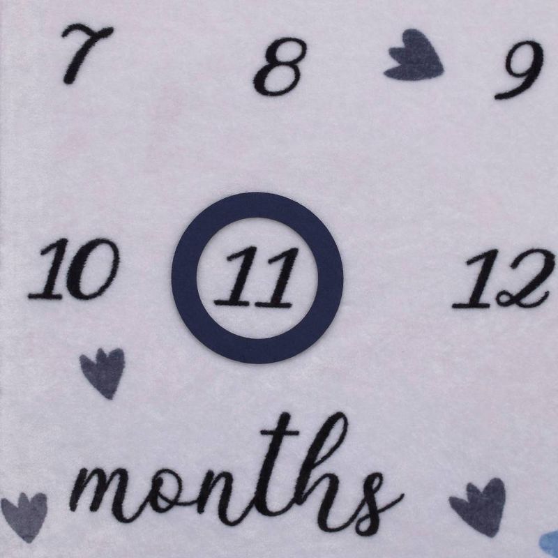 Carters Dino Adventure Milestone Blanket